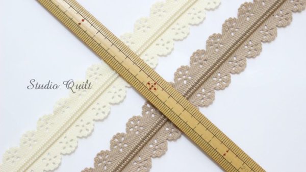 Photo2: Lace Zipper (2)