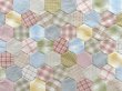 Photo2: Fabric Set for Hexagon Baby Quilt (2)