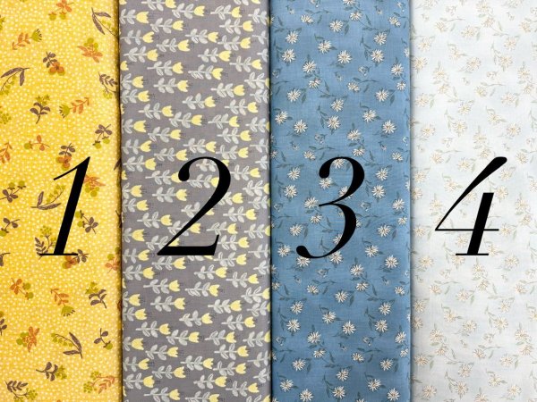 Photo2: Printed Fabrics (2)