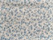 Photo1: Printed Fabric (0.5m) (1)