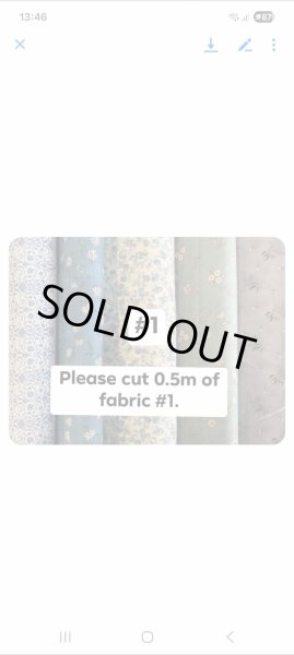 Photo2: Printed Fabric (0.5m) (2)