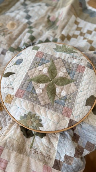 Photo15: Monthly Quilt 2025 | Birth Month Flowers  (15)