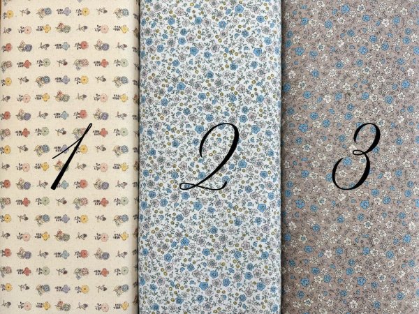Photo2: Printed Fabric (2)